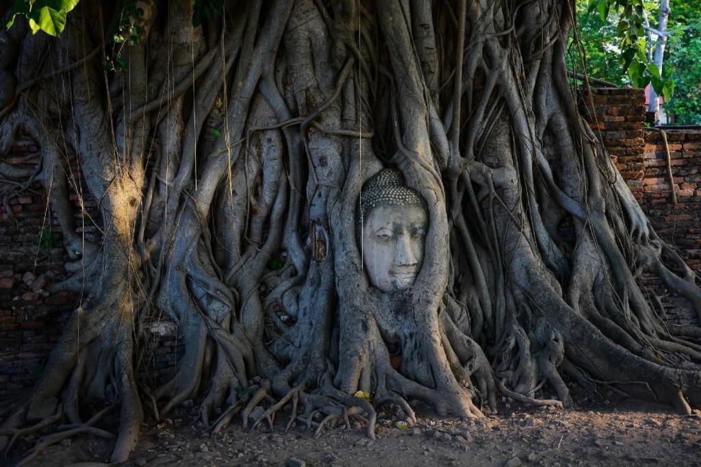 Oyo 384 Ban Sabaidee Hotel Phra Nakhon Si Ayutthaya Luaran gambar